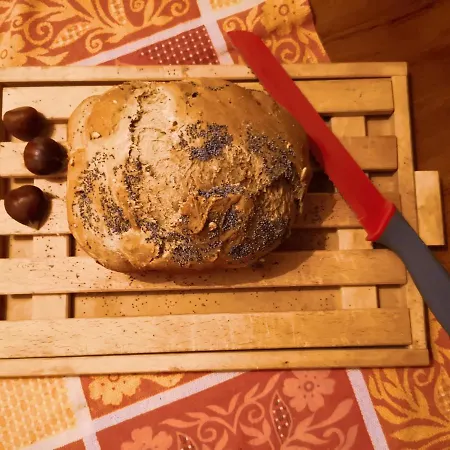 Sottobosco 乡村民宿 *